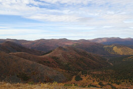 Gold Recovery Breakthrough Validates Heap Leaching Potential at Alaskan Project