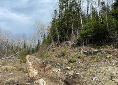 Is Ontario's Gold Rock Camp a Sleeping Giant?