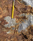 Newman Todd Drilling Uncovers Significant Gold Expansion in Red Lake